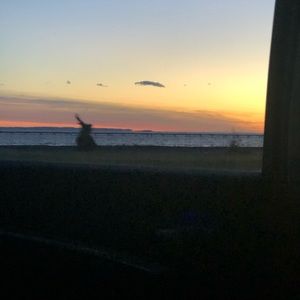 Meet your Posher, Charlotte